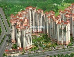 3.5 BHK Apartment For Sale in Amrapali Sapphire, Sector 45