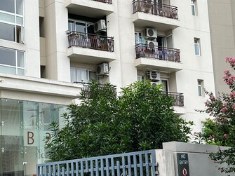 3 BHK Apartment For Rent in Shalimar Vista Gomti Nagar Lucknow  7463961