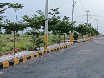  Plot For Sale in Padmarao Nagar