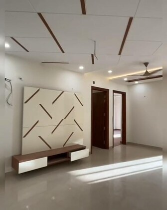 3 BHK Builder Floor For Rent in Advitya Plaza Sector 16 A Faridabad  7464152