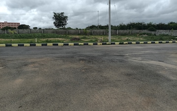 Plot For Sale in Ashok Nagar