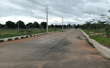 Plot For Sale in Barkatpura