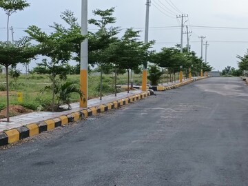  Plot For Sale in Shadnagar