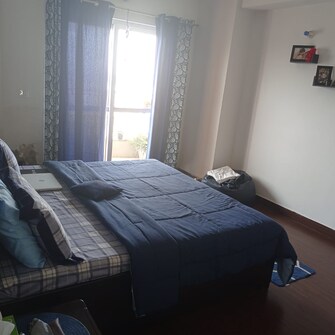 3 BHK Apartment For Rent in BPTP The Resort Mortzapur Faridabad  7465174