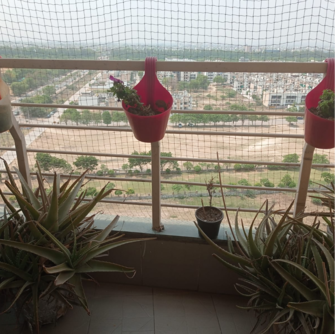 3 BHK Apartment For Rent in BPTP The Resort Mortzapur Faridabad  7465174