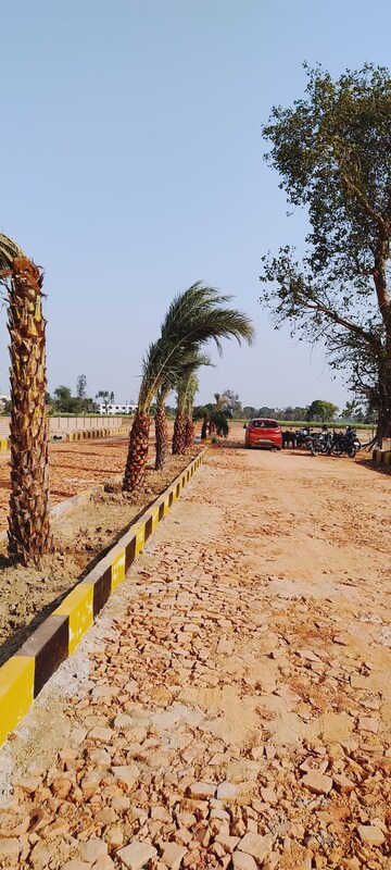 Plot Area in  Plot at Wazirganj – for Sale