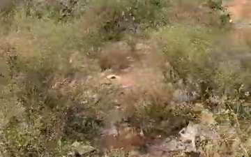 Plot For Sale in Bhoiguda
