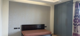 3 BHK Apartment For Rent in DLF Ridgewood Estate Dlf Phase iv Gurgaon  7466495