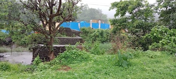 Commercial Industrial Plot 3 Acre For Resale in Ttc Industrial Area Navi Mumbai  7467046