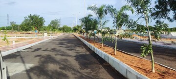 Plot Area in  Plot at Rudraram – for Sale