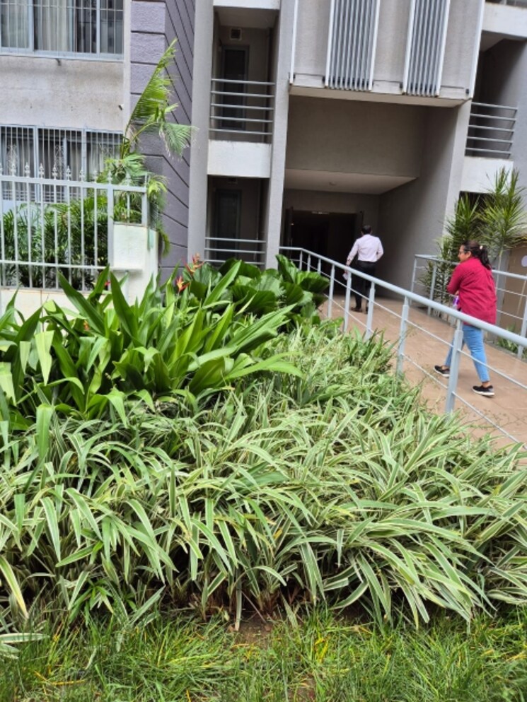 Balcony, baner 3 Bedroom 1836 Sq.Ft. Apartment In Baner Pune 7467113