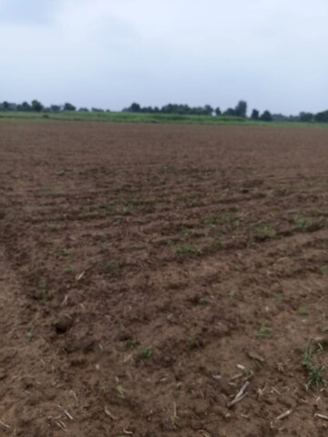  Land For Sale in Bodakdev