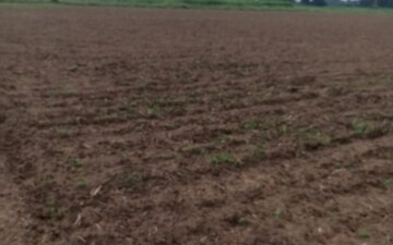 Land For Sale in Bodakdev