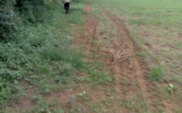 Land For Sale in Sola