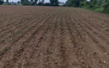 Plot For Sale in Kolat