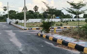 Plot For Sale in Kothapet