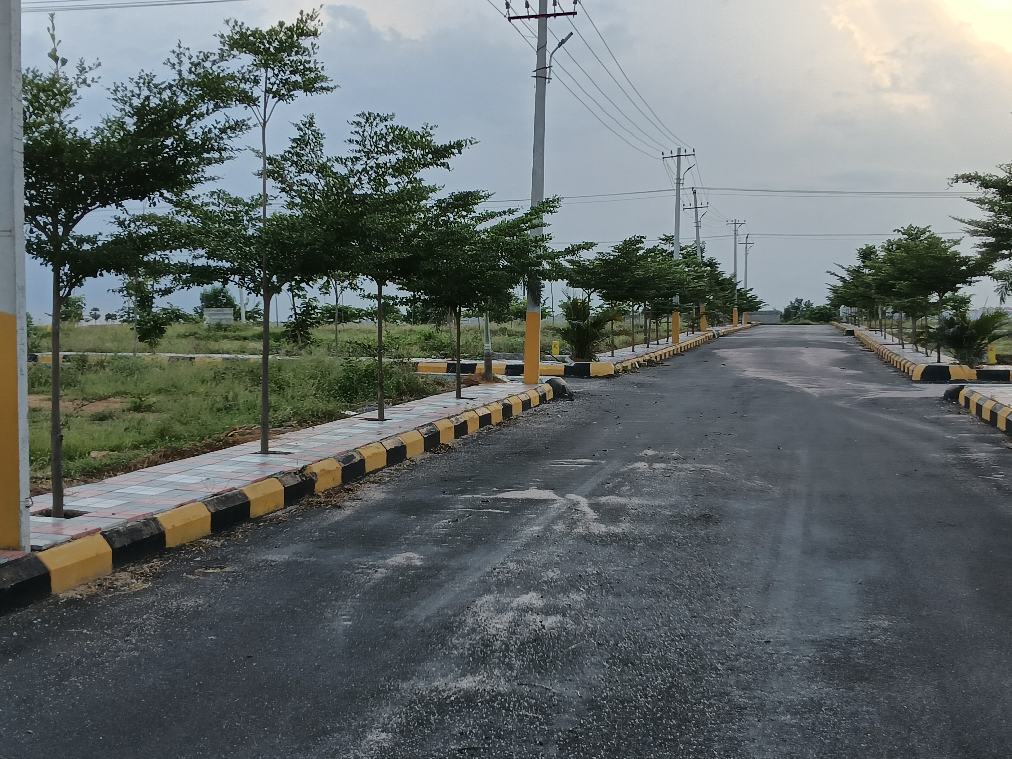 Plot For Resale in Laxma Reddy Palem Hyderabad  7467672