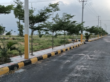 Plot For Resale in Pasumamula Hyderabad  7467673