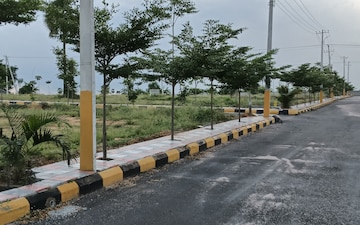 Plot For Sale in Pasumamula
