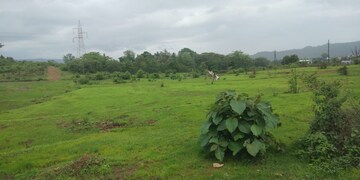 Plot Area in  Plot at Pen – for Sale