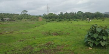 Plot Area in  Plot at Pen – for Sale