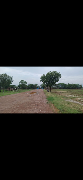 Commercial Industrial Plot 1300 Sq.Yd. For Resale in Sector 148 Faridabad  7467913