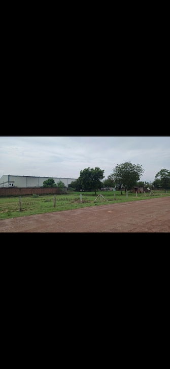 Commercial Industrial Plot 1300 Sq.Yd. For Resale in Sector 148 Faridabad  7467913