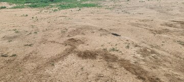 Plot Area in  Plot at Bibinagar – for Sale