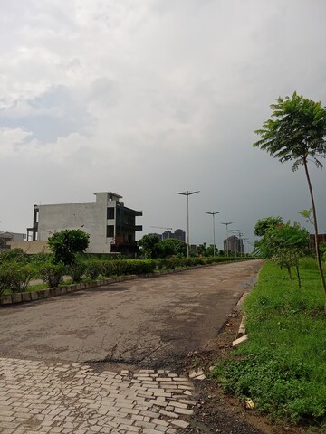  Plot For Sale in Altus Prime, North Mullanpur