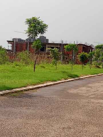  Plot For Sale in Altus Prime, North Mullanpur