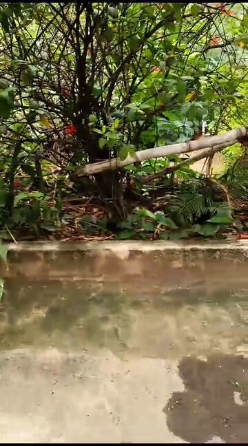  Plot – Garden View at Jubilee Hills - for Sale