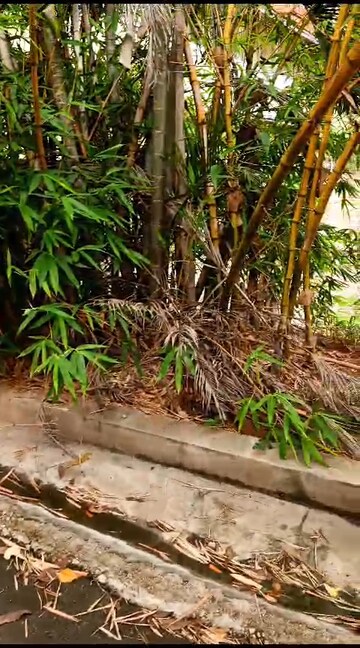  Plot – Exterior View View at Jubilee Hills - for Sale