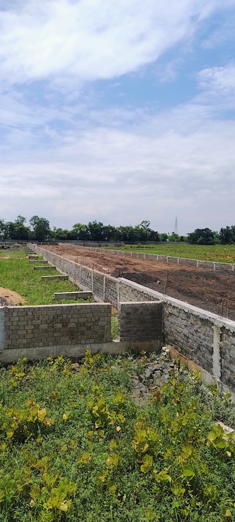 Plot For Resale in Risali Bhilai  7468627