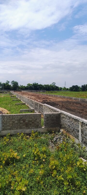 Plot Area in  Plot at Risali – for Sale