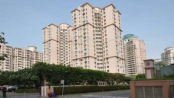 4 BHK Apartment For Rent in DLF The Princeton Estate Dlf Phase V Gurgaon  7468733