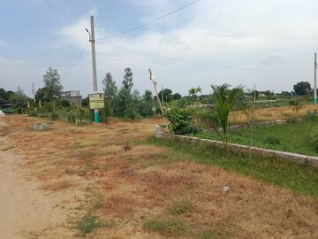 Plot Area in  Plot at Jewar – for Sale