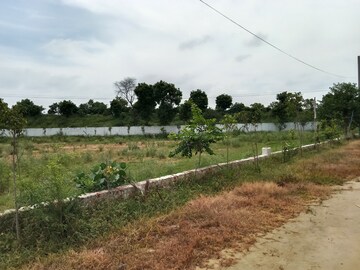 Plot Area in  Plot at Jewar – for Sale