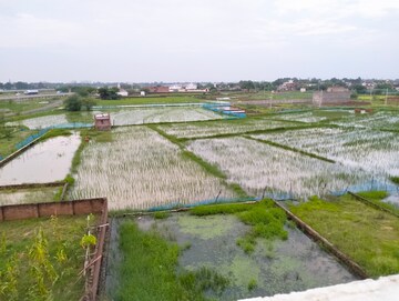 Plot – Exterior View View at Sultanpur Road - for Sale