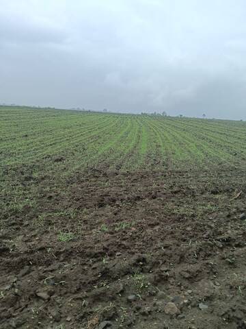 Plot Area in  Plot at Super Corridor – for Sale