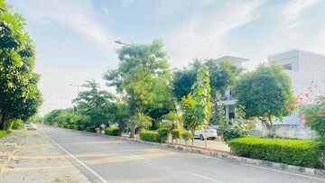  Plot – Garden View at DLF Central Square, New Chandigarh - for Sale