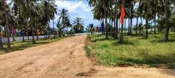 Plot Area in  Plot at Bhogapuram – for Sale