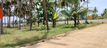  Plot – Exterior View View at Bhogapuram - for Sale