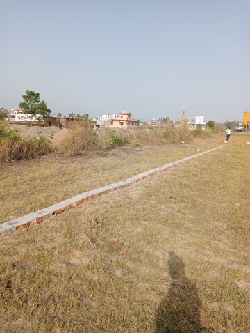 Plot Area in  Plot at Dhaulas  – for Sale