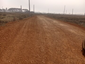 Plot Area in  Plot at Balianta – for Sale