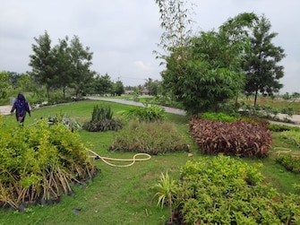 Plot For Resale in Labhandi Raipur  7470861