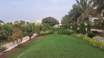 Plot For Resale in Labhandi Raipur  7470861