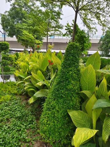 2 BHK Apartment – Garden View at Signature Global Synera, Sector 81 - for Sale