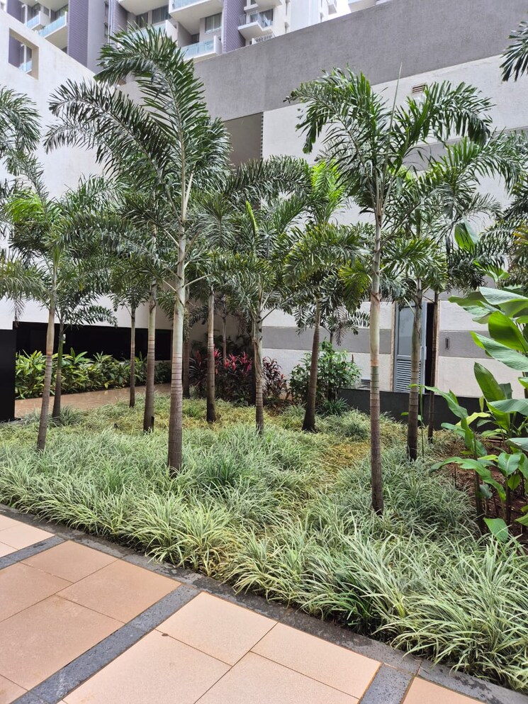 Garden, kalpataru-jade-residences 3 Bedroom 1360 Sq.Ft. Apartment In Baner Pune 7471401