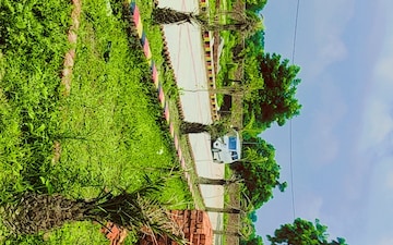 Plot For Sale in Mastemau