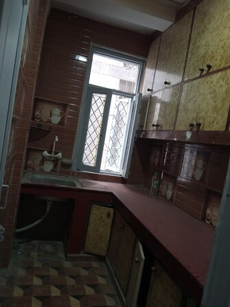 2 BHK Apartment For Resale in Zakir Nagar Delhi  7471910